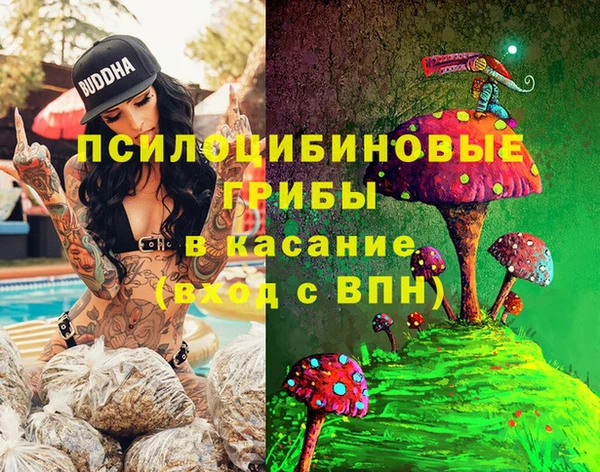 бошки Лиски