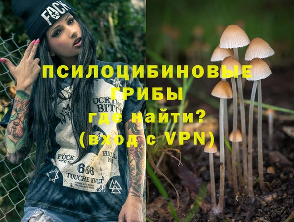 бошки Лиски