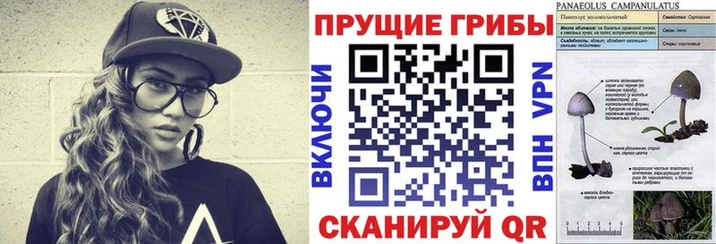 Галлюциногенные грибы GOLDEN TEACHER  hydra ссылка  Заозёрный 